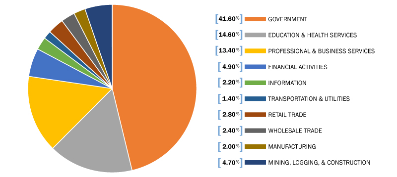 Employment By Sector