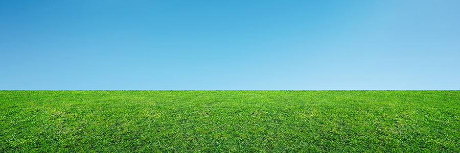 Grass and sky