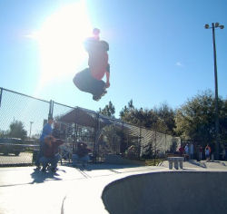 Skateboarders